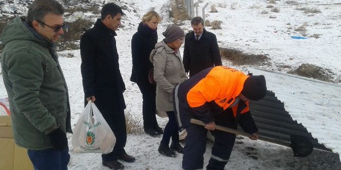 Büyükşehir Belediyesi Sokak Hayvanları İçin Doğaya Yem Bıraktı