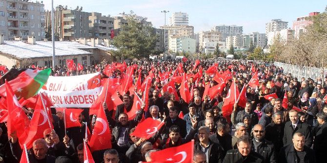Mardin Teröre Karşı Tek Yürek Oldu