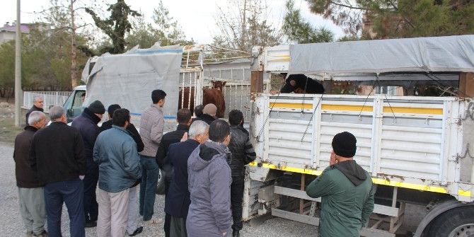 Samsat’ta Genç Çiftçi Desteği İle Bayanlar İş Sahibi Oldular