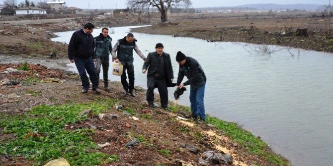 Biga’da Ördekler Yemlendi
