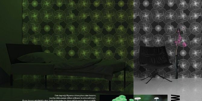 ‘Glow’, 3’üncülük Getirdi