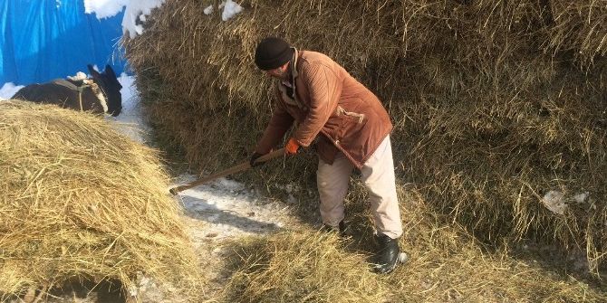 Vanlı Köylünün Kış Çilesi