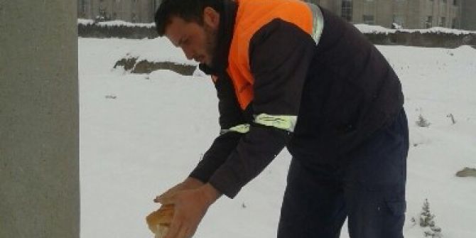 Ereğli’de Sokak Hayvanlarına Yem Bırakıldı