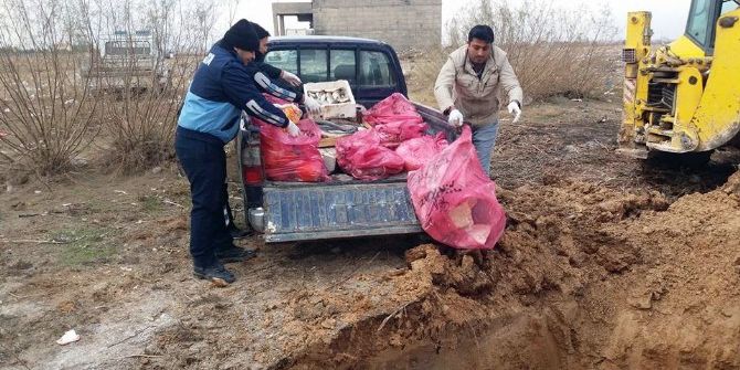 Lokantada Kedi Eti Ele Geçirildi
