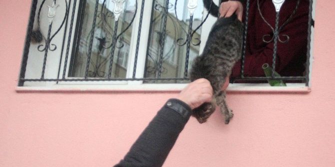Çıplak Ayakla Kedi Kurtarma Operasyonu