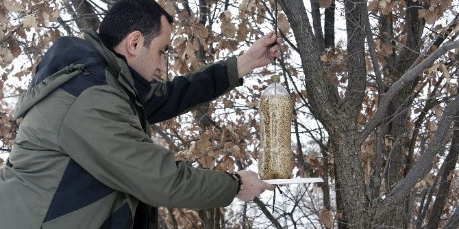 Yaban Hayatını Unutmayın