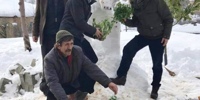 Kardan İnek Yapıp Otla Beslediler