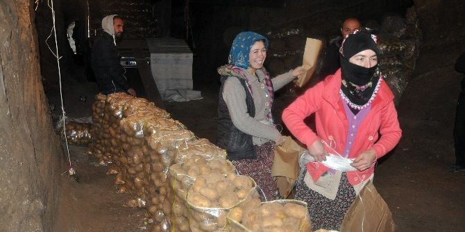 Sandıklı’da Üretilip Depolanan Patateslerin Sevkiyatı Başladı