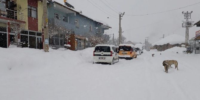 Bingöl’de Kar Yağışı Hayatı Felç Etti