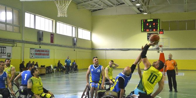 Engelsiz Ceylanlar Dolu Dizgin