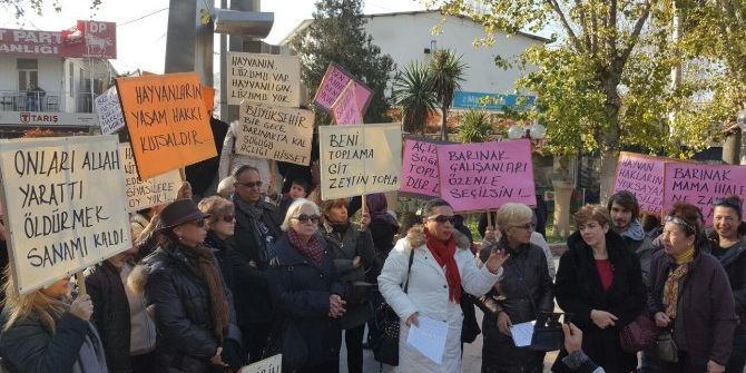 Kuşadası’nda Hayvanseverlerden Eylem