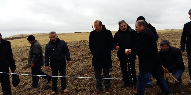 Malatya’da İlk Defa Arguvan’da Dikilecek