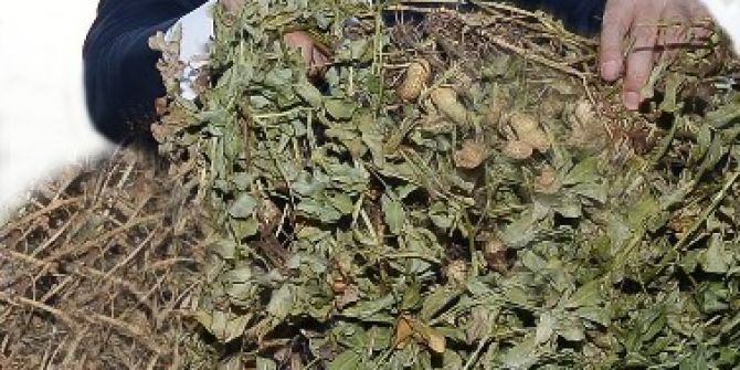 Vali Demirtaş: "Adana’da Tarım Verimli Geçti"