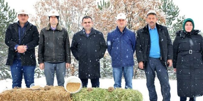 Yaban Hayvanları İçin Doğaya Yem Bırakıldı