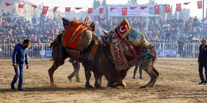 Dünya Deve Güreşi Şampiyonluğu Maçı Beraberlikle Sonuçlandı