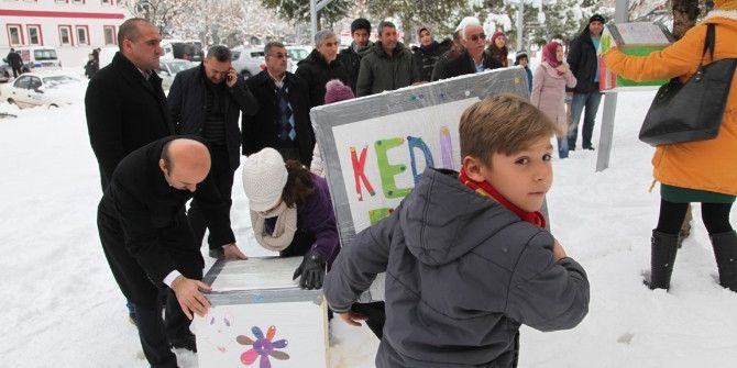 Drama Öğrencilerinden Sokak Hayvanlarına Barınak