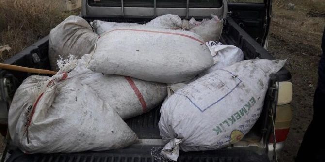 Kır Bekçileri, Zeytin Hırsızlarının Korkulu Rüyası Oldu