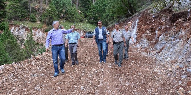Mersin’de Orman Yolu Yapımında Hedefler Aşıldı