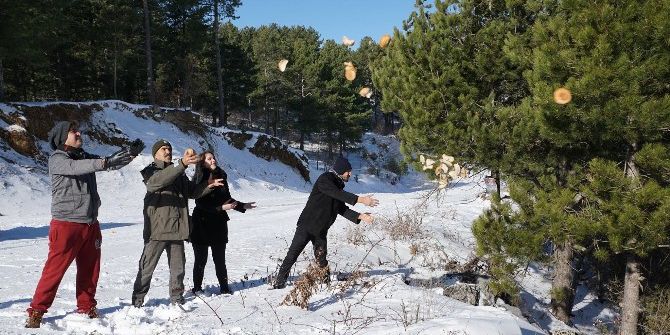 Osmaniye’de Yaban Hayvanları İçin Yem Bırakıldı