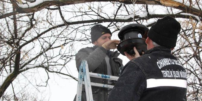 Cihanbeyli’nin Dört Bir Tarafına Kuş Evleri Yerleştirildi