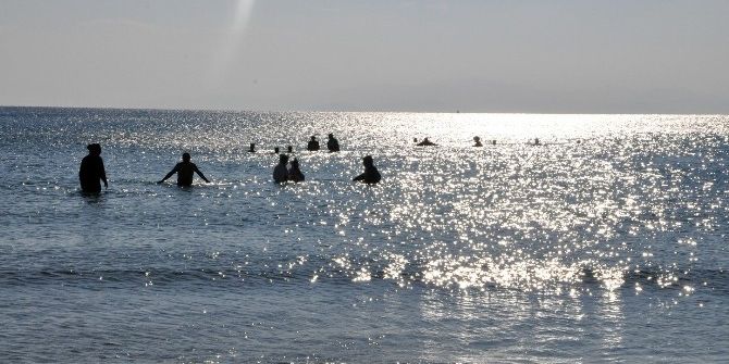 Hayvan Kostümü Giyen Hayvanseverler Aralık’ta Denize Girdi