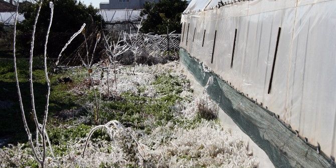 Aydın’da Zirai Don Ve Buzlanma Riskine Dikkat