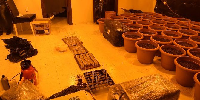 Mersin’de Hint Keneviri Yetiştiricilerine Suçüstü