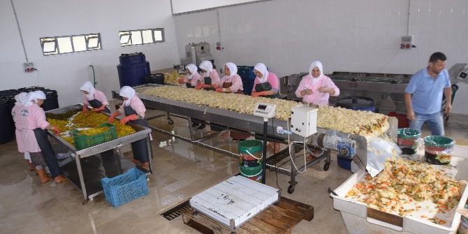 Ev Tipi Turşu İhraç Ediyor