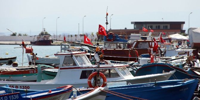 Samsun’da Yılda 14 Bin Tondan Fazla Sofralık Balık Yetiştiriliyor