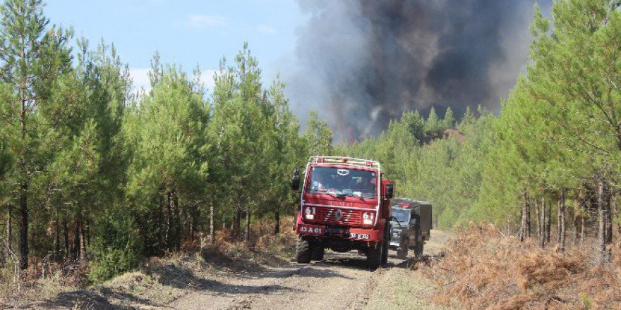Kütahya’da Orman Yangını