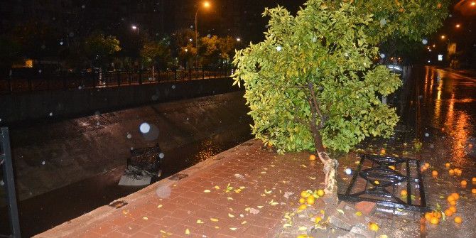 Adana’da Otomobil Sulama Kanalına Uçtu: 1 Yaralı