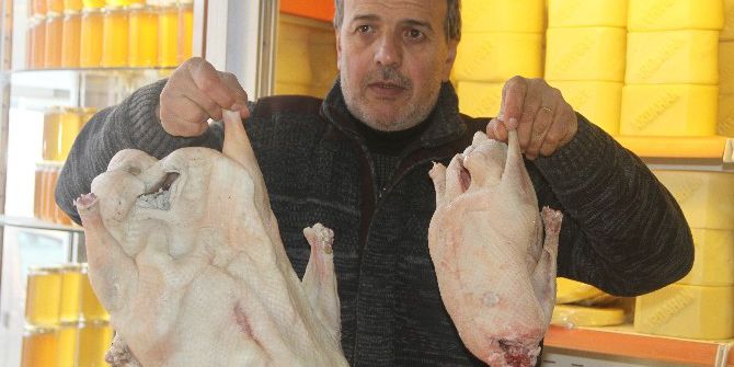 Dev Kaz Şaşırttı