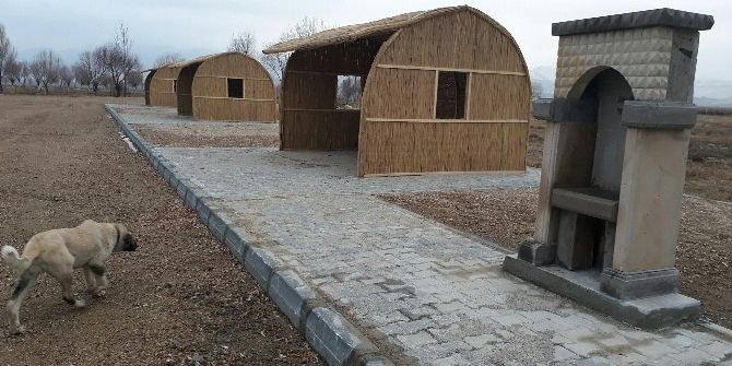 Sultan Sazlığı’nda 8 Kamelya Yapıldı