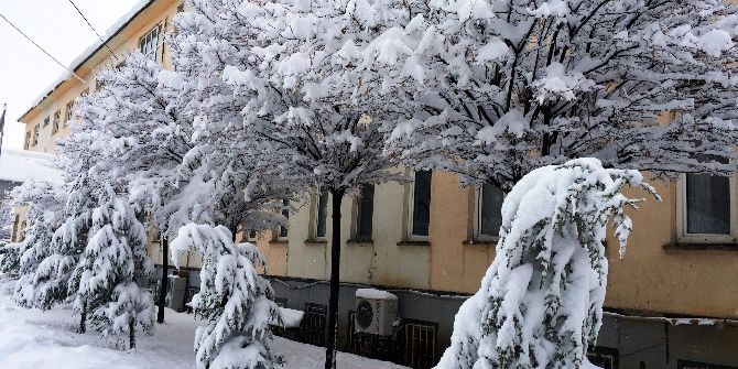 Muradiye’de Kar Yağışı
