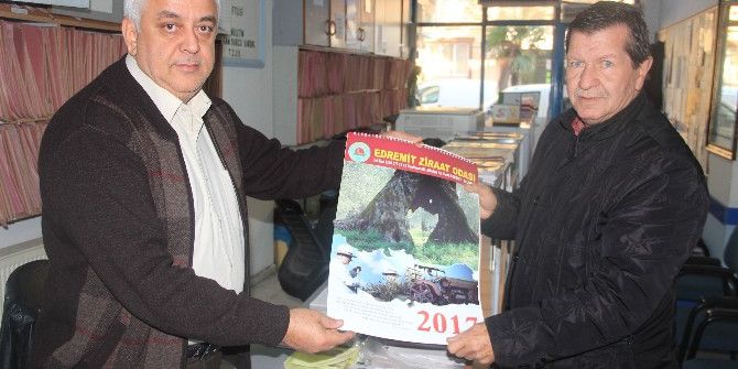 Edremit Ziraat Odası’ndan Zeytin Takvimi
