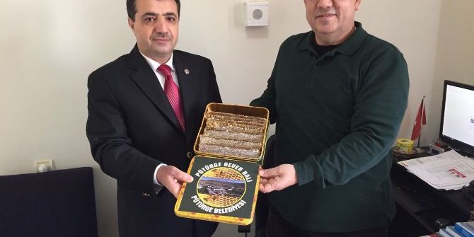 Kalpte Yeni Tehlike Epikardiyal Yağ