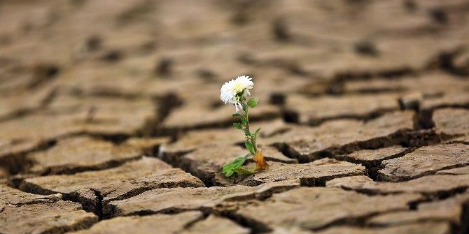 Kuraklık Muğla’da Yaşamı Durdurdu