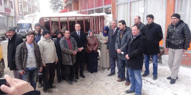 Doğanşehir’de Genç Çiftçilere Destek