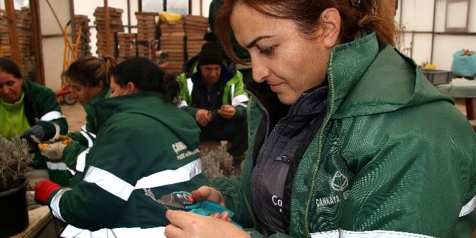 Çankaya’da Yeşil Alan Çalışmaları