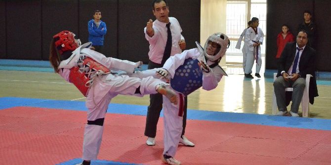 Tekvando Anadolu Yıldızlar Ligi