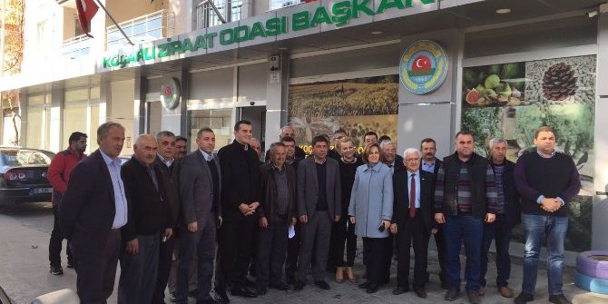 Aydın Mhp Koçarlı’da Üreticiyi Ziyaret Etti