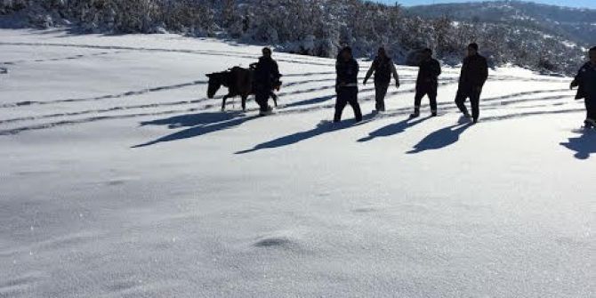 Vedaş Ekibinden Zorlu Onarım Çalışması