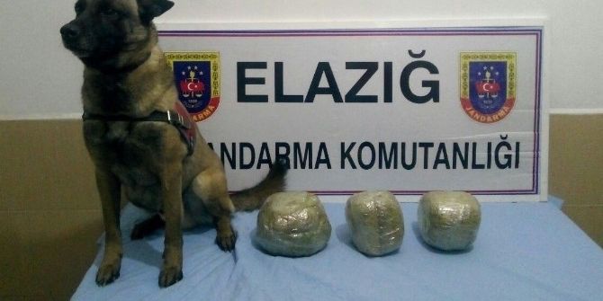 Elazığ’da Trende 6 Kilo Esrar Ele Geçirildi