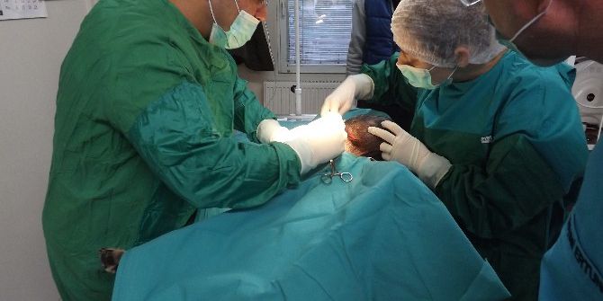 Sokak Köpeğine Tümör Ameliyatı