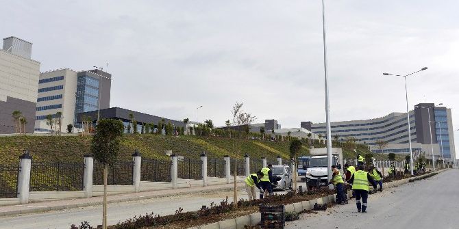 Büyükşehir Belediyesi, Şehir Hastanesi’nin Çevre Düzenlemesi Çalışmalarına Devam Ediyor