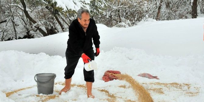 Akşehir Belediyesi Sokak Hayvanlarını Unutmadı