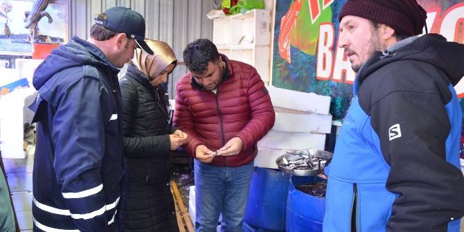 Bozüyük Balık Pazarına Sıkı Denetim
