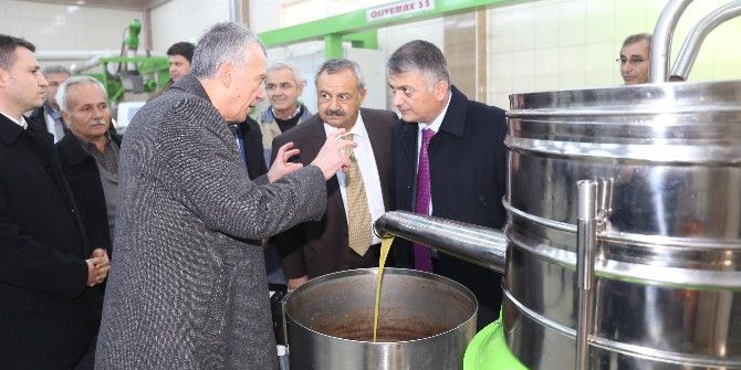 Vali Yazıcı Zeytinyağı Fabrikasını Ziyaret Etti