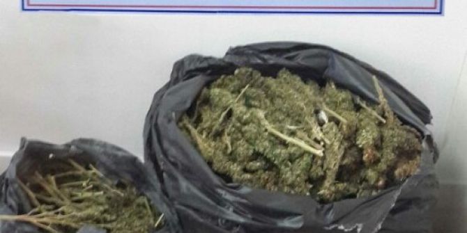 Bingöl’de 16 Kilo Esrar Ele Geçirildi