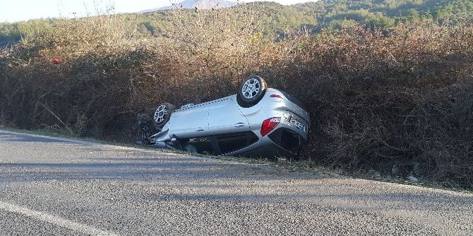 Kediyi Ezmemek İçin Takla Attı